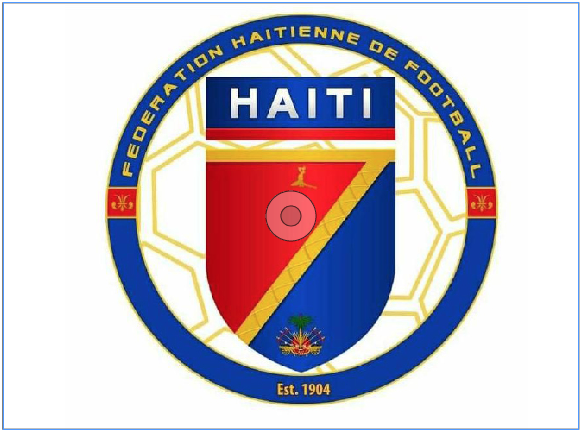 Onze des dix-huit clubs de D1 sont éligibles à la licence !